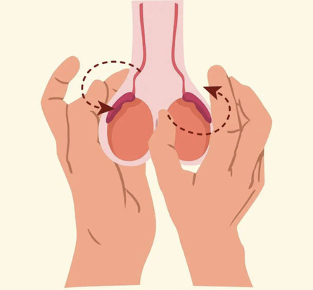 Testicular Massage – Mistress of Fate